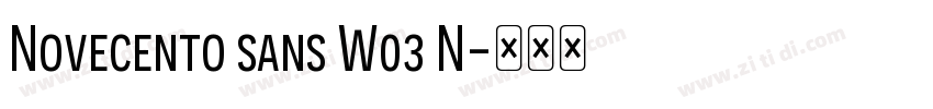 Novecento sans W03 N字体转换